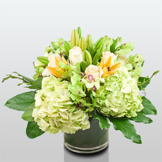 EXOTIC C DWK 1-30-12