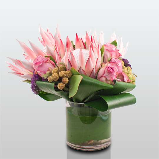 EXOTIC D DWK 1-30-12