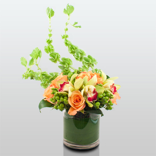 CONTEMPORARY E DWK 1-30-12