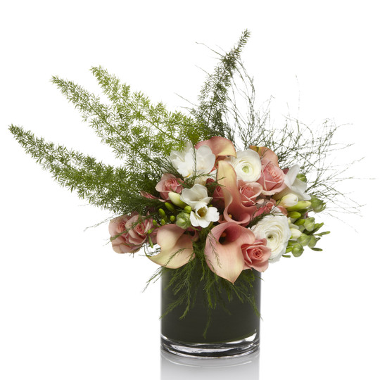 Painterly Blooms